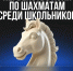 Тульская область впервые примет Первенство Азии по шахматам среди школьников - Aleksin-City.Info