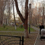 В Саратове формируют новый список участков для многодетных семей - SaratovNews.Ru