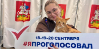 Картинка - Regions.Ru