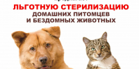 Новости для владельцев домашних животных! - Кичменгско-Городецкий муниципальный округ