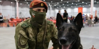 Кинологи Сибирского округа Росгвардии продемонстрировали мастерство на выставке «Лучшие собаки России» - Росгвардия