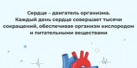 28 сентября – 4 октября (Неделя ответственного отношения к сердцу) - Центр соцобслуживания населения