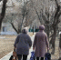 2,5 тысячи тюменцев с начала года получили пенсионные накопления: кому положены выплаты и как их оформить - MegaTyumen.Ru