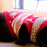 Зоопсихолог из Томска объяснила, как питомцы переживают переезд и смену хозяев - ГТРК Томск