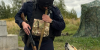 В Железногорске на стационарном посту с полицейскими несет службу Рыжик - Sekunda.Media