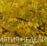 Фото: max.ru/blagoveshchensk_rf/AaDm_gOsDDw - Амурское областное телевидение