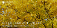 Фото: max.ru/blagoveshchensk_rf/AaDm_gOsDDw - Амурское областное телевидение