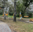 Обновление сквера Авиаторов подходит к завершению - Городская Дума