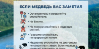 Безопасность. - Город Дивногорск
