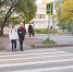В Новгородской области усилят меры безопасности для пешеходов - Газета Новгород