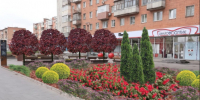В центре Тулы высадят свыше десяти тысяч цветов и кустарников - Молодой коммунар