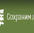 О проведении Всероссийской акции «Сохраним лес» на территории Костромской области в 2026 году - Департамент лесного хозяйства