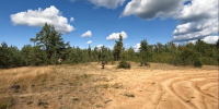 На аэродроме «Псков» провели учения по защите от беспилотников - Pln-Pskov.Ru