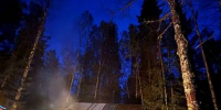 В «Денежкином Камне» подвели итоги учетов тетеревов и оценили урожай ягод и кедрового ореха - ProSeverouralsk.Ru