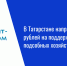В Татарстане направили 700 млн рублей на поддержку личных подсобных хозяйств - Нурлат-⁠информ
