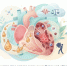 Сердце под ударом: что происходит с миокардом при длительном употреблении алкоголя - Знамя Октября