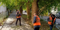 С раннего утра 180 коммунальщиков приводят в порядок Белгород - Комсомольская Правда