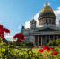 Турпоток в Петербург почти не вырос по итогам высокого сезона - Санкт-Петербург.ру