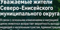 Памятка: о поведении человека при встрече с медведем. - Северо-Енисейский муниципальный округ