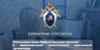 Жительница города Брянска признана виновной в финансировании нежелательной иностранной организации - Следственный комитет