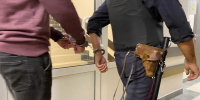 Пойман лидер ОПГ, который жестоко убил женщину в Карелии 20 лет назад - Gubdaily.Ru