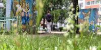 Клещи испортили планы более 3600 новгородским дачникам и гуляющим - Газета Новгород