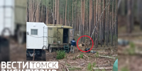 Опасная встреча: медведь вышел к рабочим на лесной дороге под Томском - ГТРК Томск