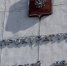Прокуратура проверит Фонд капремонта на «зажатые» подрядчикам платежи - SeverPost.ru