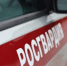 За прошедшую неделю сотрудники Росгвардии более 300 раз выезжали по сигналу «тревога» - Росгвардия