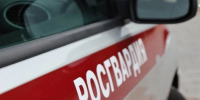 За прошедшую неделю сотрудники Росгвардии более 300 раз выезжали по сигналу «тревога» - Росгвардия