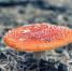 Переменная облачность ожидается в регионе во вторник - МЧС
