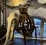 Правообладатель: theatremuseum.ru. - Культура Петербурга