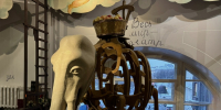 Правообладатель: theatremuseum.ru. - Культура Петербурга