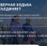 Внимание: Всероссийский отбор клубов северной (скандинавской) ходьбы - Департамент спорта