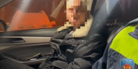 Петербуржец больше года будет ходить пешком за пьяный заезд по Петропавловке - Neva.Today
