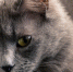 © Фото wirestock с сайта https://www.magnific.com - Yuga.Ru