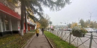 Цветы есть, пройти негде: парадокс благоустройства на улице 9‑й Гвардейской дивизии - Истра.РФ