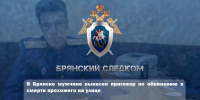 В Брянске мужчине вынесен приговор по обвинению в смерти прохожего на улице - Следственный комитет