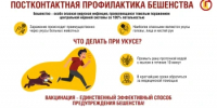 Внимание, бешенство! Основные меры защиты. - Целинский район