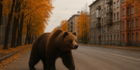 Медведь в городе / Изображение сгенерировано ИИ ChatGPT / amic.ru - ИА Амител