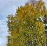 🍂 Народные приметы 28 сентября - EchoSevera.Ru