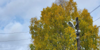 🍂 Народные приметы 28 сентября - EchoSevera.Ru