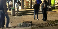 На ул. Октябрьской мужчина до смерти избил знакомого - ГТРК