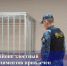 В Никольском районе злостный неплательщик алиментов привлечен  к уголовной ответственности - УФССП