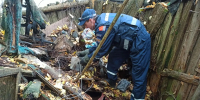 Картинка - Regions.Ru