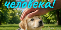 Найди верного друга - Совет гор. округа Уфа