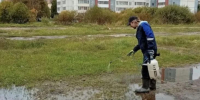 В Петербурге за неделю собрали более 70 тонн опасных отходов - Петербургский дневник