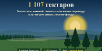 Земли сельхозназначения в восьми районах Татарстана более 1100 гектаров переведут в категорию земель лесного фонда - Министерство земельных отношений