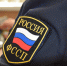 Несостоявшийся фермер погасил долг ради поездки в Турцию - УФССП
