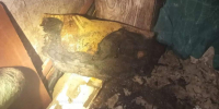 В Железногорске ночью загорелся ковер на балконе квартиры - Газета Железногорские новости